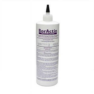 Boractin™ Insecticide Dust - Crawling Insect Killer - 1 lb Bottle by Rockwell Labs