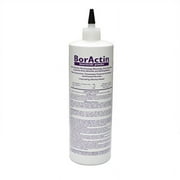 Boractin Insecticide Dust - Crawling Insect Killer - 1 lb Bottle by Rockwell Labs