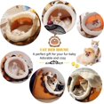 thumbnail image 2 of Cama para gatos, cama para gatos de interior con manta, nido con forma de león para gatos, gatitos, perros, cachorros, conejos y hurones., 2 of 5