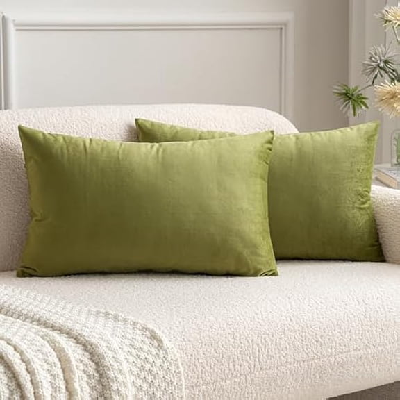 Eryueer Velvet Cushion Covers Soft Decorative Square Throw Pillow Case Pillowcases for Livingroom Sofa Bedroom with Invisible Zipper 12"x20" 30cm x 50cm 2 Pieces Green