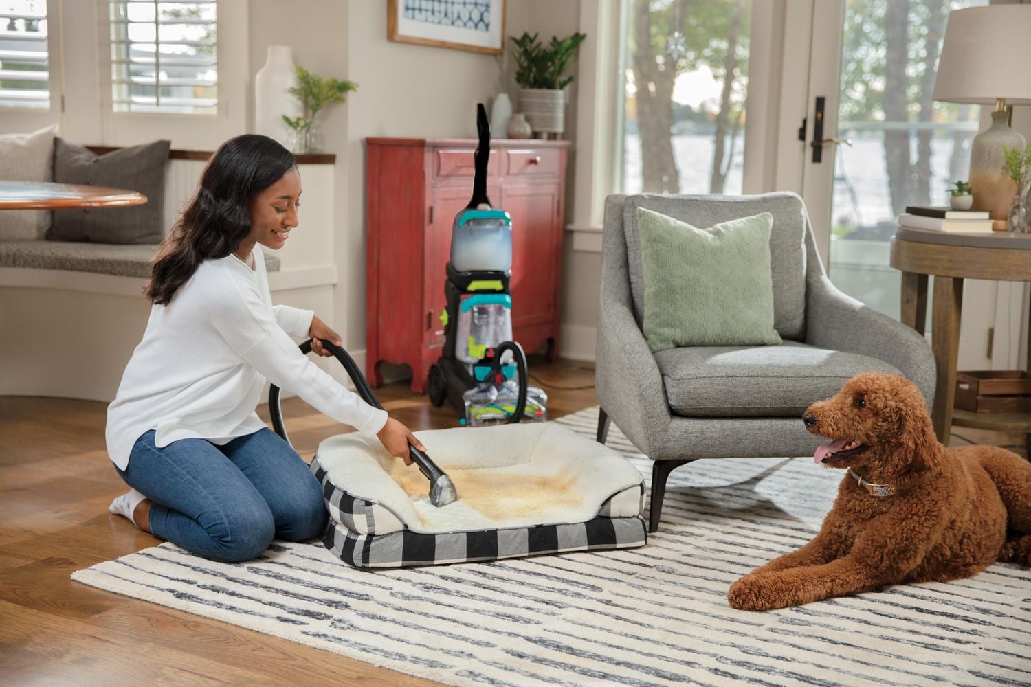 BISSELL® PowerClean® TurboBrush Pet XL