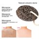 thumbnail image 1 of Wytino Cepillo de Masaje Corporal, Cepillo de ba?o para piernas, depurador para ba?o, Masaje de Piel, Celulitis, Elimina con Mango Largo masaje de, 1 of 8