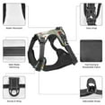 thumbnail image 6 of Bingfone Cute Farm Birds No Pull Dog Vest Harness For Small Medium Large Dogs Strap For Puppy Walking,Training,Dog Harness-Large, 6 of 9