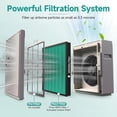 thumbnail image 3 of 250/250S Replacement Filter, Compatible with Coway Airmega 250/250S Air Purifier, PartAP-1720-FP, 1 Pack, 3 of 8