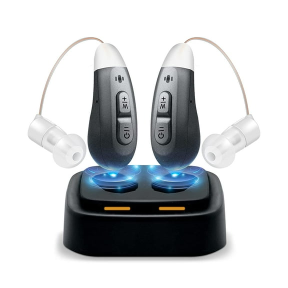 Jinghao Personal Sound Amplifier Product  BTE for Ears for Seniors Adults with Rechargeable Charging Dock Gray
