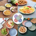 thumbnail image 2 of BESTONZON 5pcs Wheat Straw Plates Unbreakable Reusable Plate Set Perfect Dinner Dishes Bone Collection Plates, 2 of 8