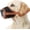 Brown, variant on Philowng Soft Nylon Dog Muzzle for Medium Dogs, Breathable Air Mesh Mouth Guard