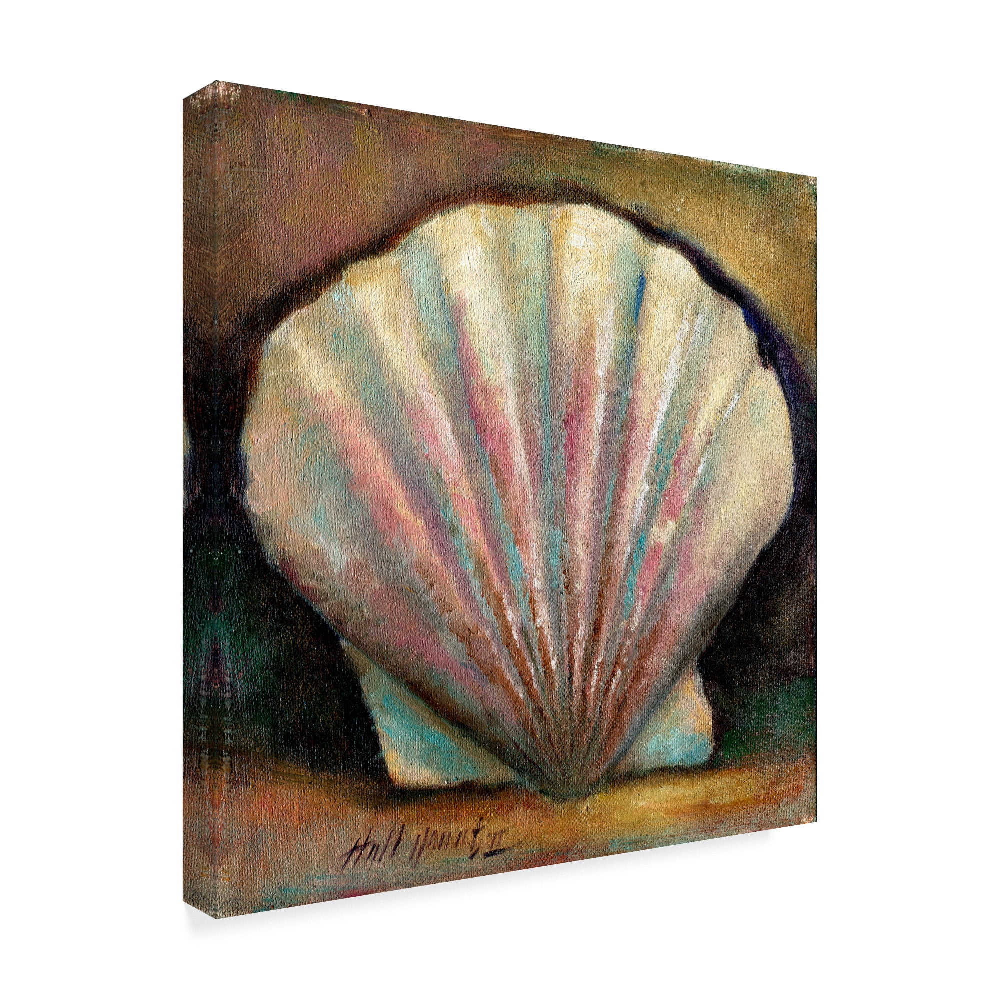 Trademark Fine Art 'Scallop Pink' Canvas Art by Hall Groat Ii