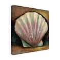 thumbnail image 2 of Trademark Fine Art 'Scallop Pink' Canvas Art by Hall Groat Ii, 2 of 3