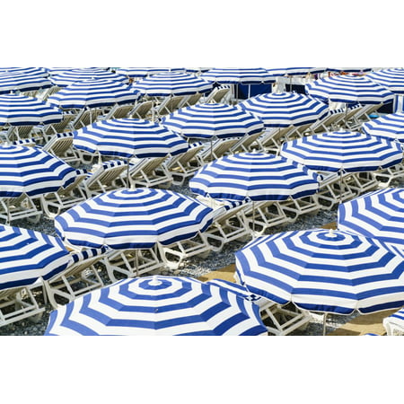 Blue and white beach parasols, Nice, Alpes Maritimes, Cote d'Azur, Provence, France, Mediterranean, Print Wall Art By Fraser