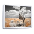 thumbnail image 2 of Designart "Africa Ostrichs beauty I" Animals Floater Framed Canvas Art Print, 2 of 7