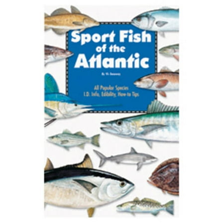 Sport Fish Of The Atlantic Fishing Book Walmart Com