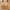 Beige, variant on Nexjvus Ladise No Show Bras Embroidered Comfortable Breathable No Rims No Daily Bra