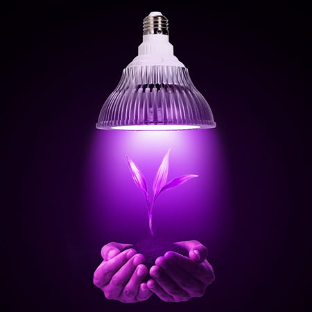 OxyLED LED Plant Grow Light Bulb, Hydroponic Plant Grow Lights for Greenhouse and Hydroponic Indoor Plants,  Indoor Plant Growing Lights Bulb (E26 12W 3Blue/9 Red (Best Light Bulb For Indoor Plants)