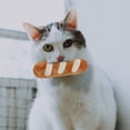thumbnail image 3 of Interactive Dog Toy for Mental Stimulation and Health with Squeaky Sounds and Durable Chewing Design, 3 of 5