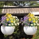 thumbnail image 4 of Flores artificiales de margarita Turnmeon resistentes a los rayos UV, 8 paquetes, 4 of 8