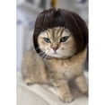thumbnail image 4 of Funny Dog Cat Cosplay Wig,Pet Wigs for Halloween, Christmas, Parties, Festivals, Dog Wigs for Small Medium and Large Dogs （Black Brown Straight）, 4 of 9