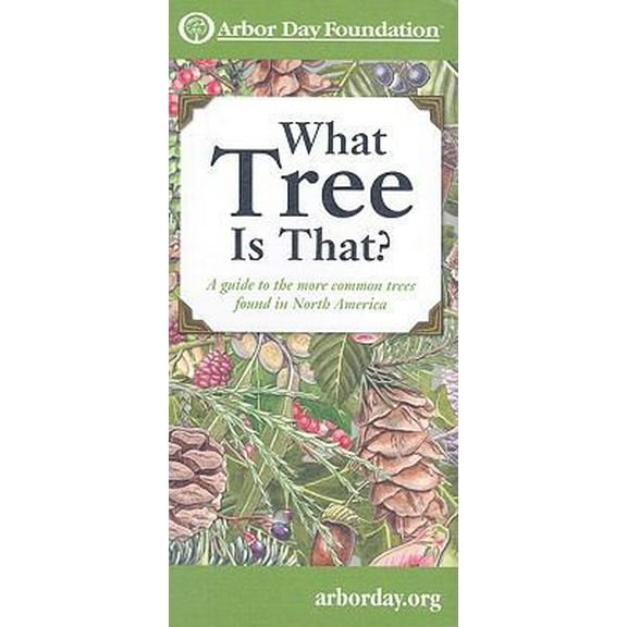 Pre-Owned What Tree Is That?: A Guide to the More Common Trees Found in North America (Paperback) 0963465759 9780963465757