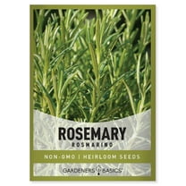 Rosemary Seeds