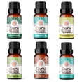 thumbnail image 2 of GuruNanda Herbaceous Essential Oils Collection,  Peppermint, Tea Tree, Eucalyptus, Lemongrass, Rosemary, Clove - 10 ml for Health and Wellness, 2 of 7