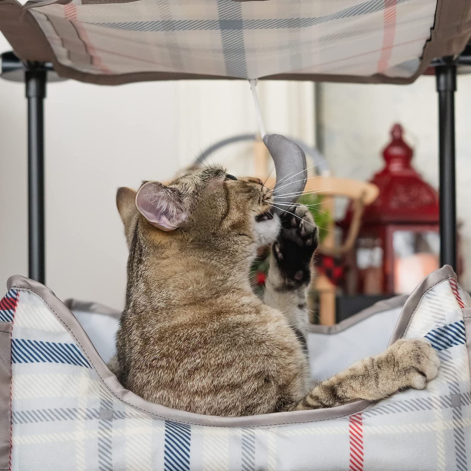 Kitty City Canopy Cat Sleeper Bed, Plaid, 17.75" x 17.75" x 17.25"