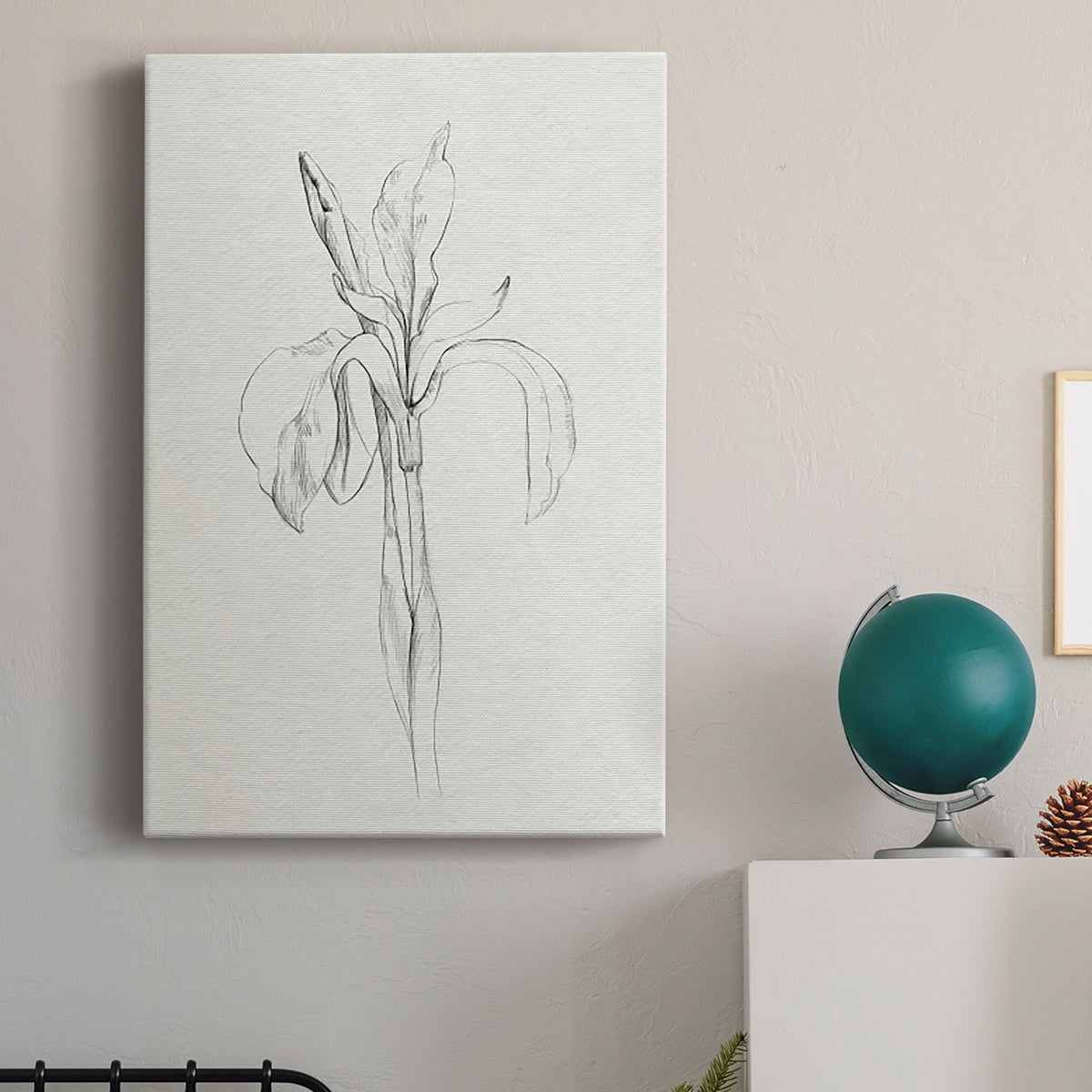 Neutral Iris Sketch II Premium Gallery Wrapped Canvas - Ready to Hang