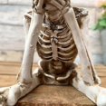 thumbnail image 5 of Intricately Human Halloween Figurine Ornament Capture Skeletal Structure, 5 of 5
