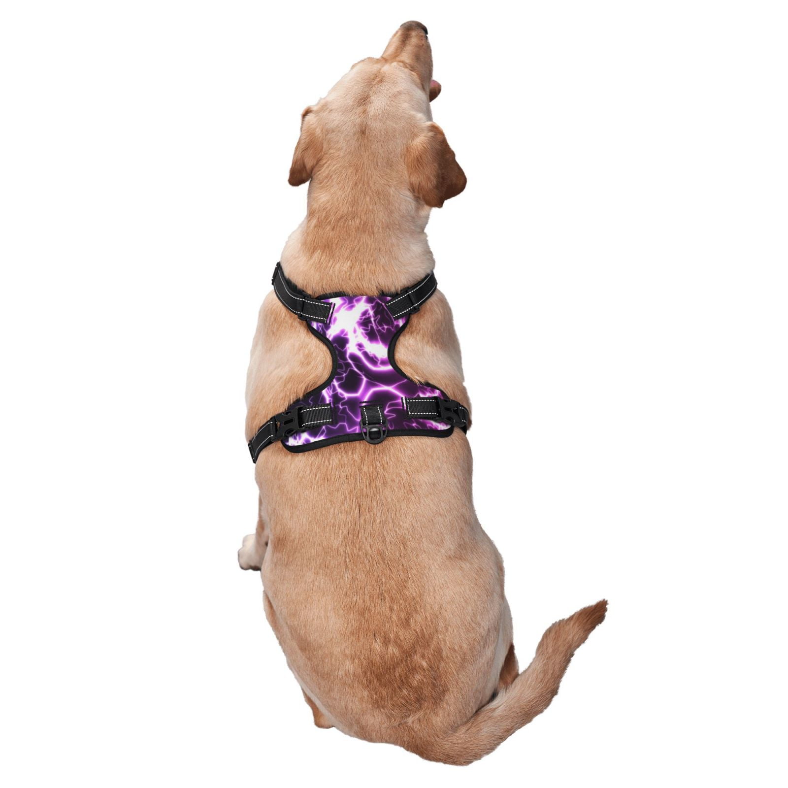 Vsdgher Blue Lightning Pattern Dog Harness,No Pull Pet Harness with Soft Padded Handle,Adjustable Reflective Vest with 2 Buckles,4 Slide Buckles,S-XL Small
