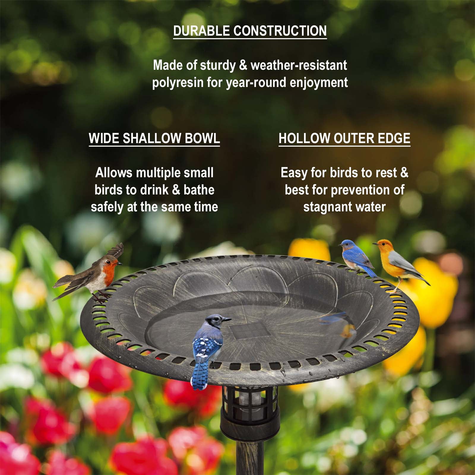 Westcharm 34 Inch Solar Powered LED Lighted Birdbath Poly Resin Bird Bath for Outdoors Yard Outside Outdoor Garden Decoration Pedestal Base Stand - Antique Brushed Bronze Solar Bird Bath