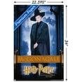 thumbnail image 2 of Harry Potter and the Philosopher's Stone - McGonagall Wall Poster with Pushpins, 22.375" x 34", 2 of 3