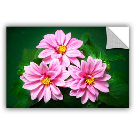 ArtWall Antonio Raggio ' Blooming Flowers ' Art Appealz Removable Wall Art
