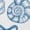 White, variant on Beachy Coastal Seashells Bows Graphic Tees Womans T shirt Shirts Black White S-5XL Tops