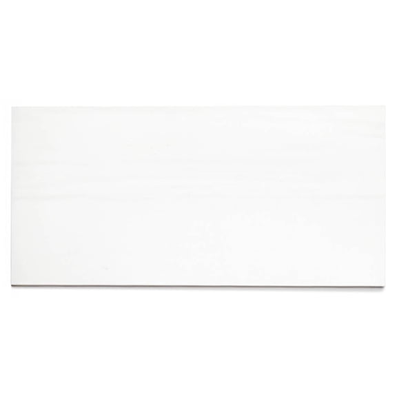 The Tile Life Evoque 12" x 24" Polished Dolomite Porcelain Floor and Wall Tile Case of 6