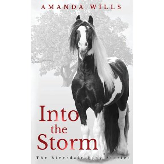Pre-Owned Into the Storm (Paperback) by Amanda Wills