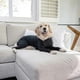 thumbnail image 5 of Sport Dog Onesie - Shedding Of Dog Hair For Home, Car, Travel, Anxiety Calming Shirt, Uv And Tick Protection TW, 5 of 5