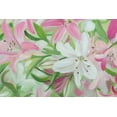 thumbnail image 2 of Iafrate, Sandra 32x23 Gold Ornate Wood Framed with Double Matting Museum Art Print Titled - Pink and White Lilies IV, 2 of 4