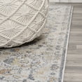 thumbnail image 3 of JONATHAN Y WASHABLE 2 x 8 Runner Rug, Brandy Rustic Border - Dark Gray/Cream, WSH321A-28, 3 of 10