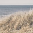 thumbnail image 2 of Bouclair Light Blue Set of 3 Path to the Beach Printed Canvas X Large, 2 of 2