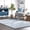Loni Light Blue, variant on nuLOOM Loni SuperiorWash Solid Machine Washable Shag Area Rug, 8' x 10', Loni Dark Grey