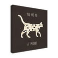 thumbnail image 4 of Trademark Fine Art 'Otomi Cats IV Dark Neutral' Canvas Art by Veronique Charron, 4 of 4