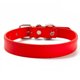 thumbnail image 1 of SoftTouchCollarsCueroCollar de perro acolchado,Talla Mediana,Hecho a manoCuero genuino, 1 of 5