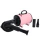 thumbnail image 3 of Methold CN Plug Pets Grooming Secador de pelo Reducción de ruido Fuerte potencia Secado rápido 2 engranajes Dispositivo de soplador de calor ajustable Suministros para perros Rosado Methold PT003874-04, 3 of 6