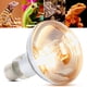 thumbnail image 5 of Lámpara Solar UVB Bombilla De Calor UVB Para Reptiles La Lámpara Solar Duradera Para Reptiles Proporciona Calor UVB Lagarto Para Reptiles Anfibios, 5 of 7