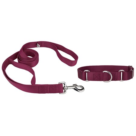 Country Brook Design® Martingale Heavyduty Nylon Dog Collar/Double Handle Leash