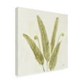 thumbnail image 2 of Trademark Fine Art 'Forest Ferns II v2' Canvas Art by Albena Hristova, 2 of 4