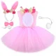 thumbnail image 2 of Vestido de tutú de conejo rosa para niñas, disfraz de conejito de Pascua, vestido de princesa de tul para fiesta de cumpleaños de niños, ropa de disfraces de animales para Halloween, 2 of 5