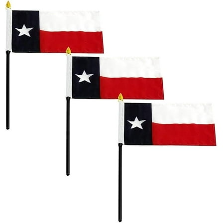 Texas Flag 4 x 6 inch (3 PK)