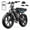R9-Black-2*15AH, variant on TST Electric Bike for Adults, 750W Motor, 20"x4" Fat Tire E Bicycle, E Mountain Bike, 48V/15AH, Tested to UL2849 Standard by SGS
