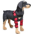 thumbnail image 2 of Pet Front Leg Compression Hock Wraps Knee Joint Support para perros Red M Rojo - M Yuyangstore Soporte de la rodilla del perro, 2 of 8