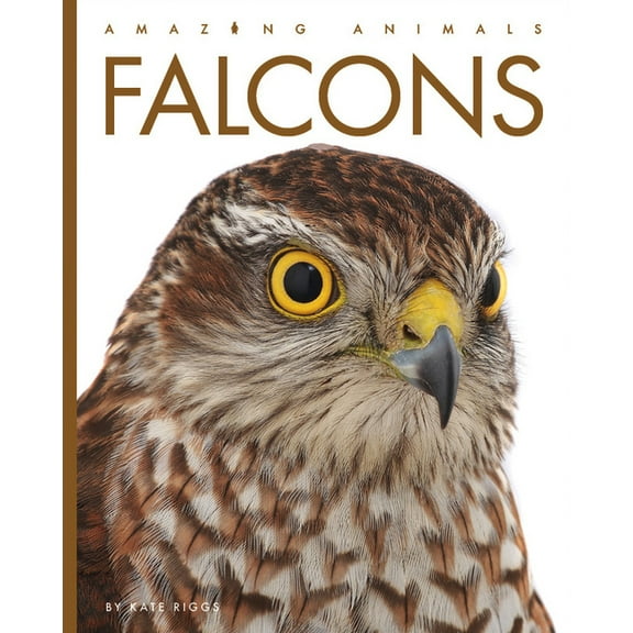 Amazing Animals Falcons, (Hardcover)